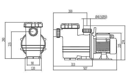 Swimming Pool Pump, DXD-310FM