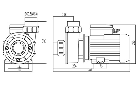 SPA Massage Two-Speed Pump, DXD-320ES