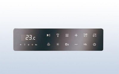 Electronic Control Systems